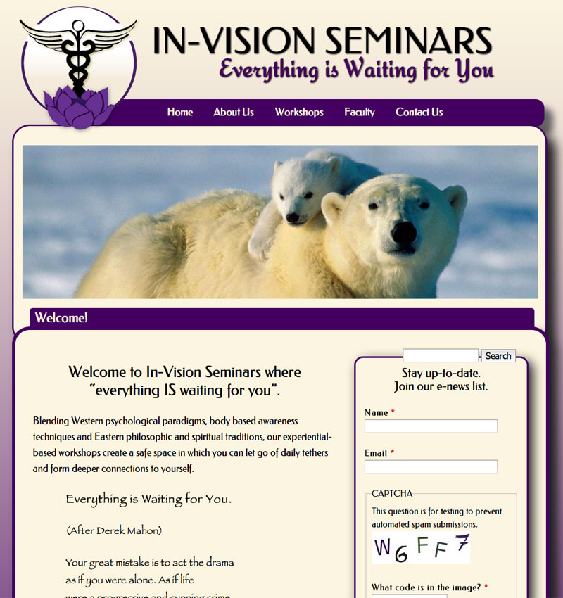 In-Vision Seminars